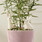 Thumper Plant Sticks - Set of 6 By Accent DŽcor