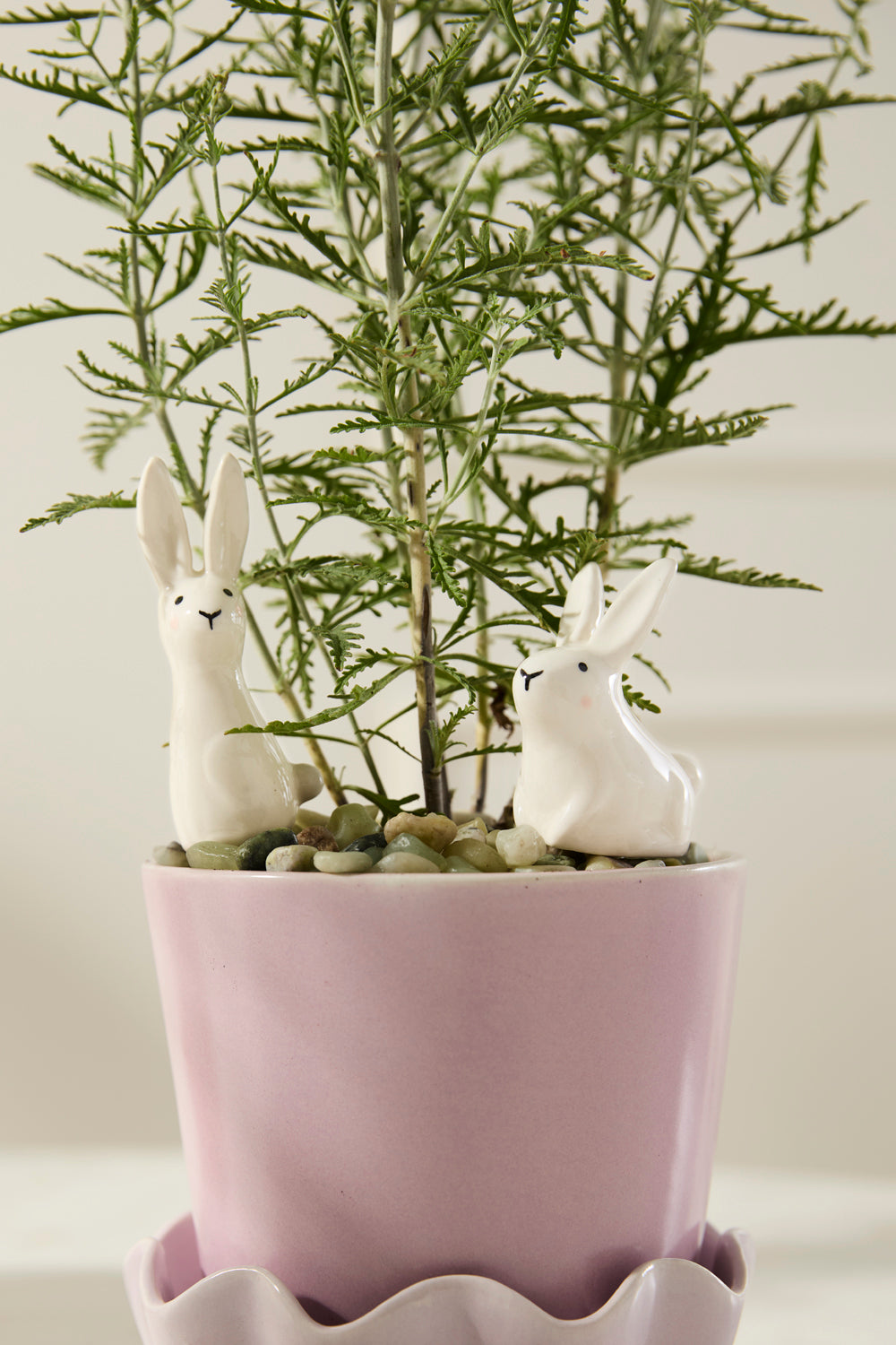Thumper Plant Sticks - Set of 6 By Accent DŽcor