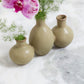 Thyme Budvase Set of 4 By Accent Decor | Vases | Modishstore - 1