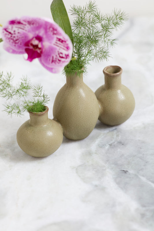 Thyme Budvase Set of 4 By Accent Decor | Vases | Modishstore - 1