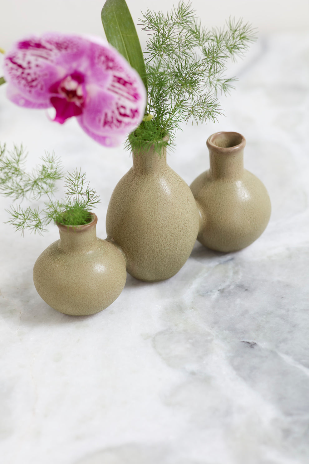 Thyme Budvase Set of 4 By Accent Decor | Vases | Modishstore - 1