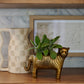 Tiger Pot Set of 2 By Accent Decor | Planters, Troughs & Cachepots | Modishstore - 3