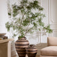 Tira Vase By Accent Decor | Vases | Modishstore - 4