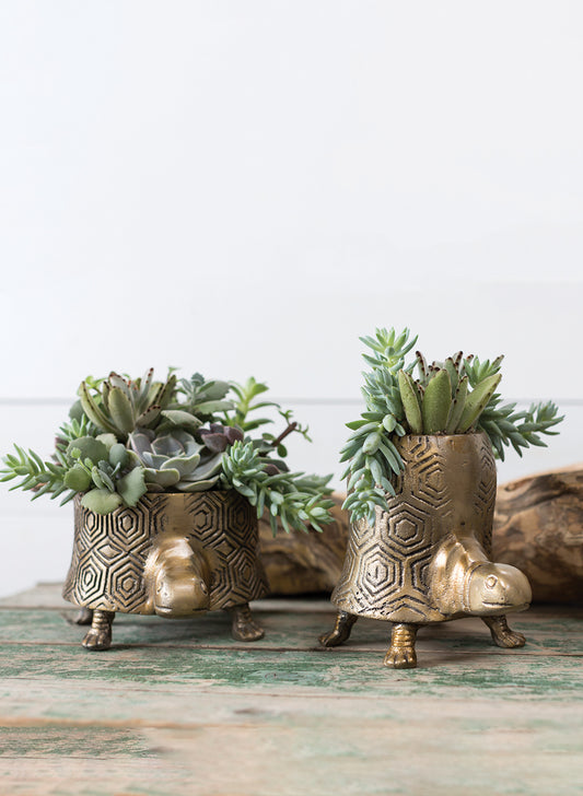 Tommie Turtle Pot Set of 2 By Accent Decor | Planters, Troughs & Cachepots | Modishstore - 1