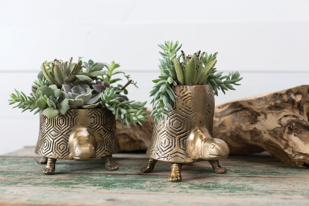 Tommie Turtle Pot Set of 2 By Accent Decor | Planters, Troughs & Cachepots | Modishstore - 3