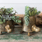 Tommie Turtle Pot Set of 2 By Accent Decor | Planters, Troughs & Cachepots | Modishstore - 4
