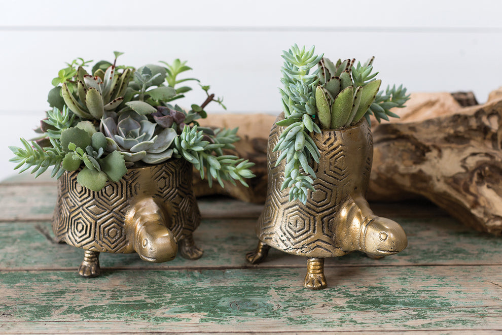 Tommie Turtle Pot Set of 2 By Accent Decor | Planters, Troughs & Cachepots | Modishstore - 4
