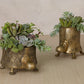 Tommie Turtle Pot Set of 2 By Accent Decor | Planters, Troughs & Cachepots | Modishstore - 5