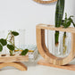 Torrey Propagation Stand By Accent Decor | Vases | Modishstore - 1