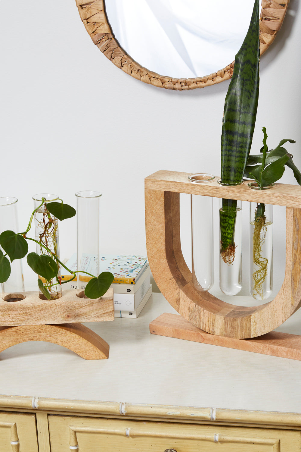 Torrey Propagation Stand By Accent Decor | Vases | Modishstore - 1