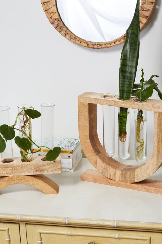 Torrey Propagation Stand By Accent Decor | Vases | Modishstore - 1