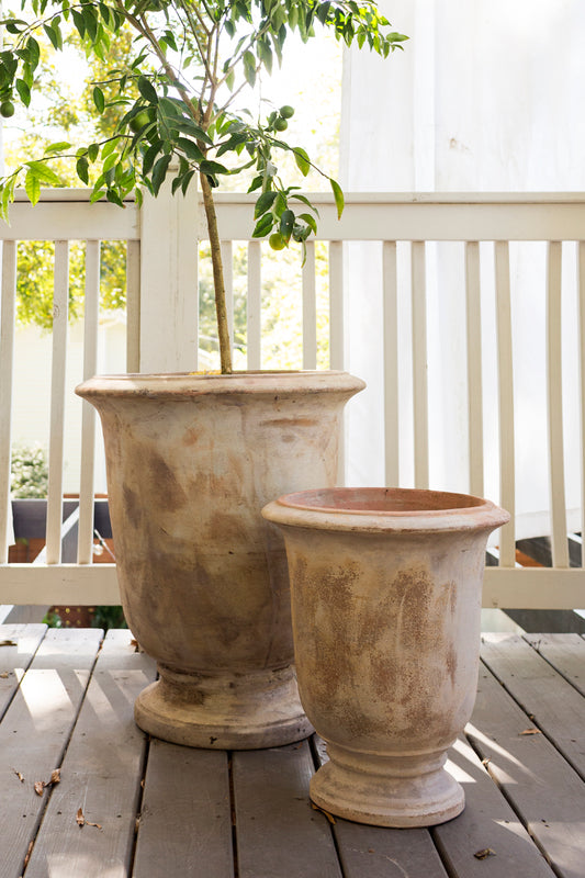 Toscano Urn By Accent Decor | Vases | Modishstore - 1