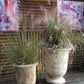 Toscano Urn By Accent Decor | Vases | Modishstore - 3
