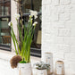 Treeline Collection Set of 8 By Accent Decor | Planters, Troughs & Cachepots | Modishstore - 3