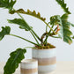 Tremaine Pot Set of 8 By Accent Decor | Planters, Troughs & Cachepots | Modishstore - 3