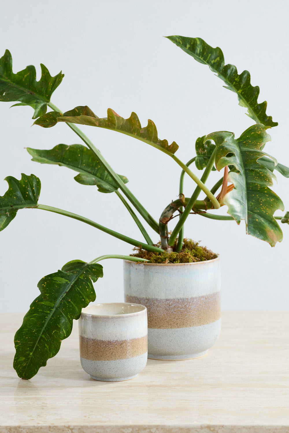 Tremaine Pot Set of 8 By Accent Decor | Planters, Troughs & Cachepots | Modishstore - 3