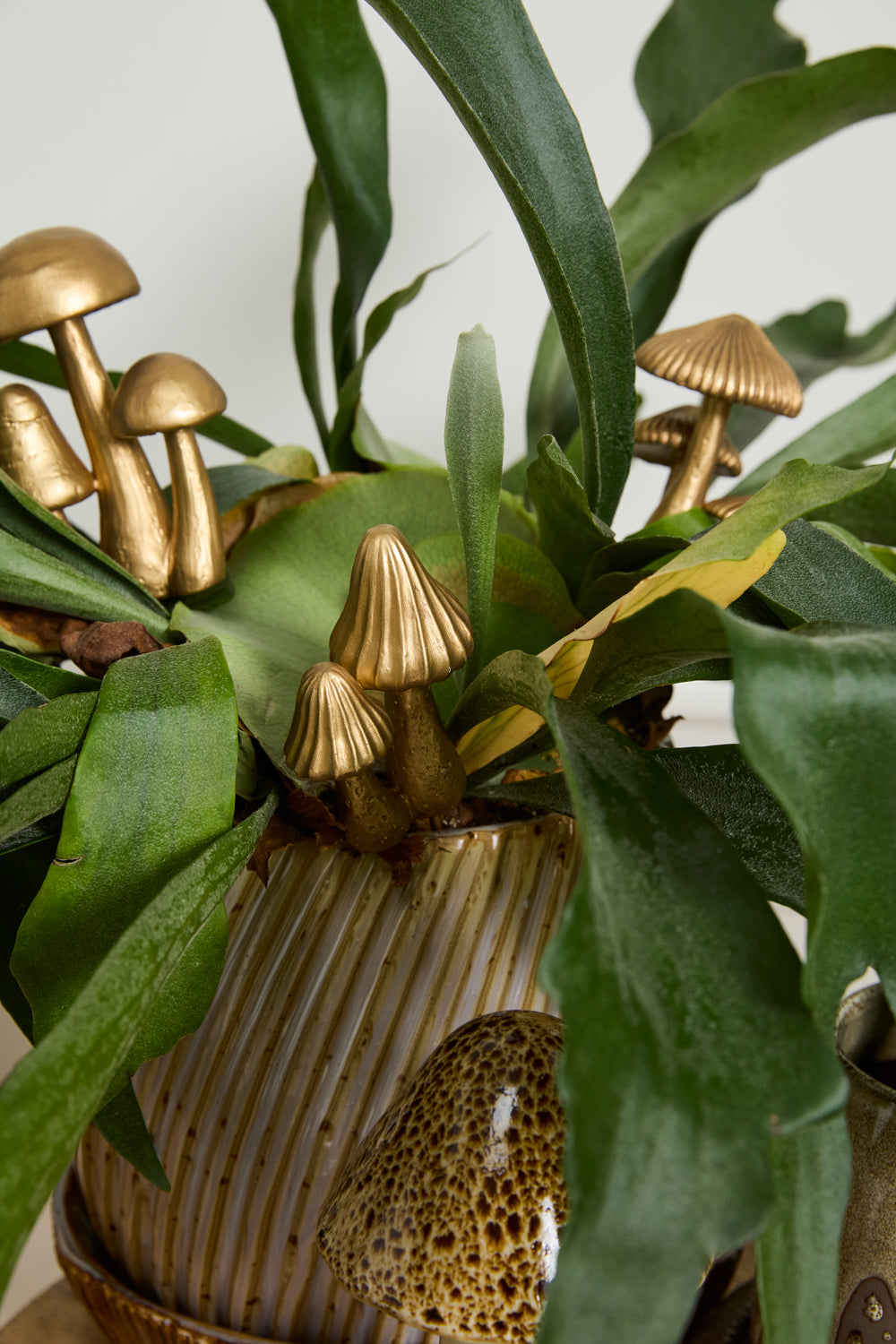 Troop Mushroom Plant Sticks - Set of 6 By Accent Decor | Planters, Troughs & Cachepots | Modishstore - 4
