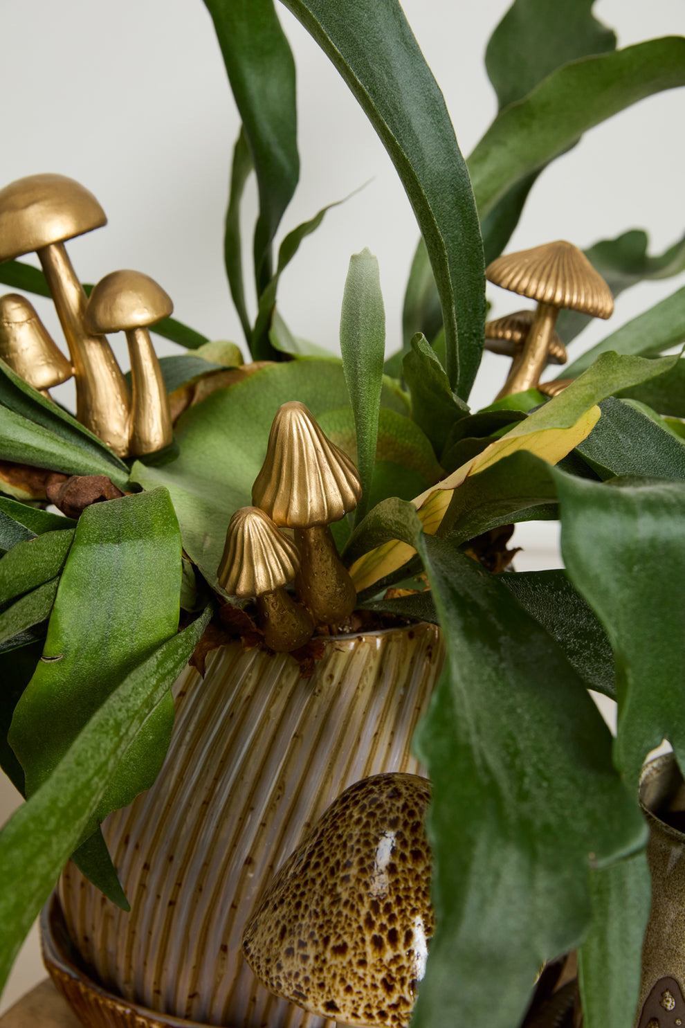 Troop Mushroom Plant Sticks - Set of 6 By Accent Decor | Planters, Troughs & Cachepots | Modishstore - 4