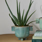 Trothos Pot Set of 4 By Accent Decor | Planters, Troughs & Cachepots | Modishstore - 3