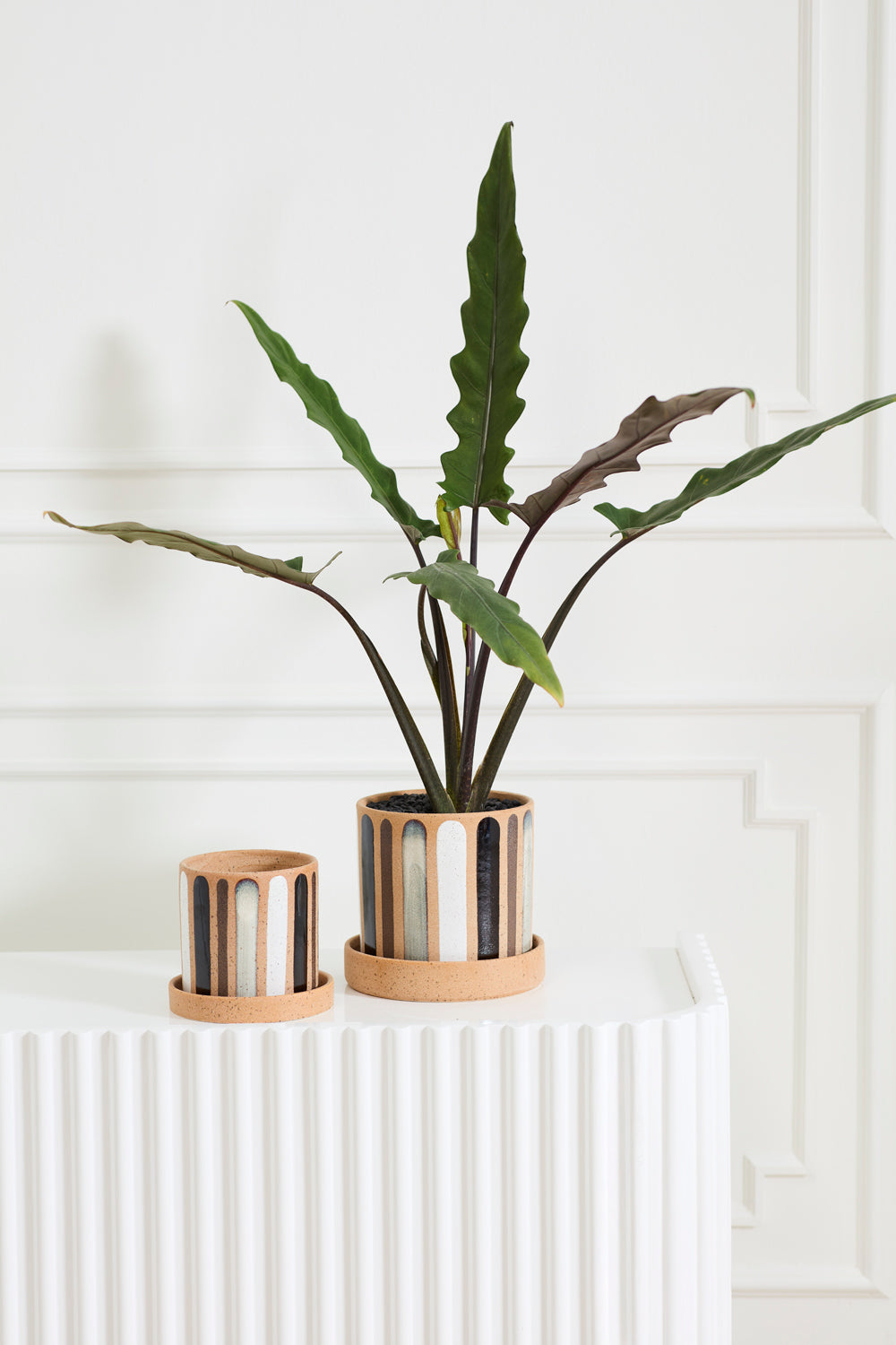 Truman Pot with Saucer Set of 2 By Accent Decor | Wall Decor | Modishstore - 3