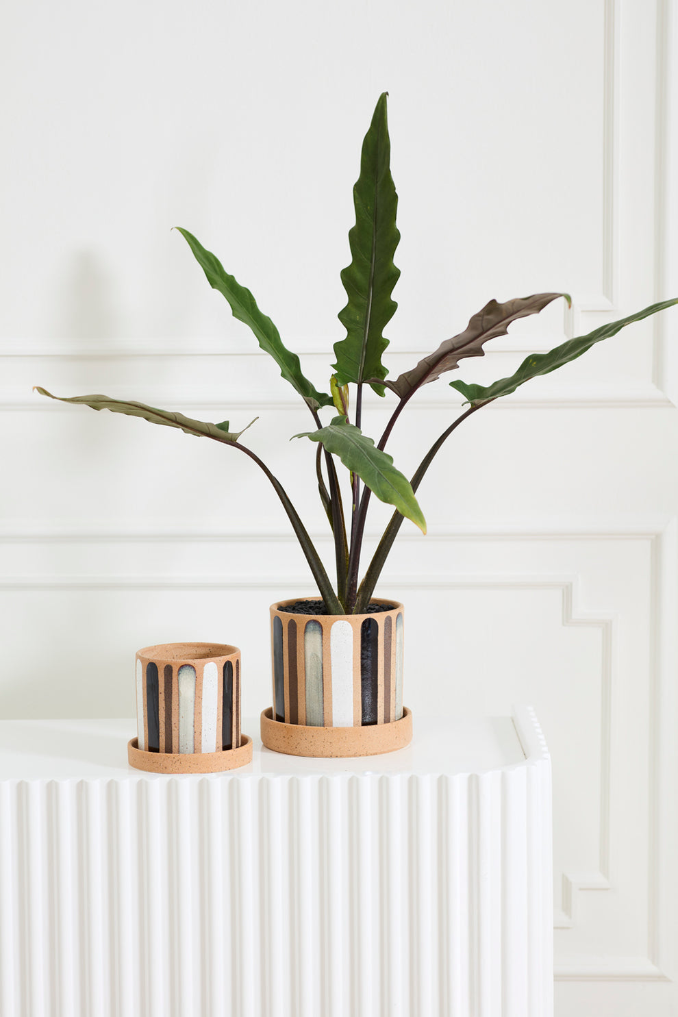Truman Pot with Saucer Set of 2 By Accent Decor | Wall Decor | Modishstore - 3