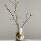 Ulysses Vase Set of 2 By Accent Decor | Vases | Modishstore - 3