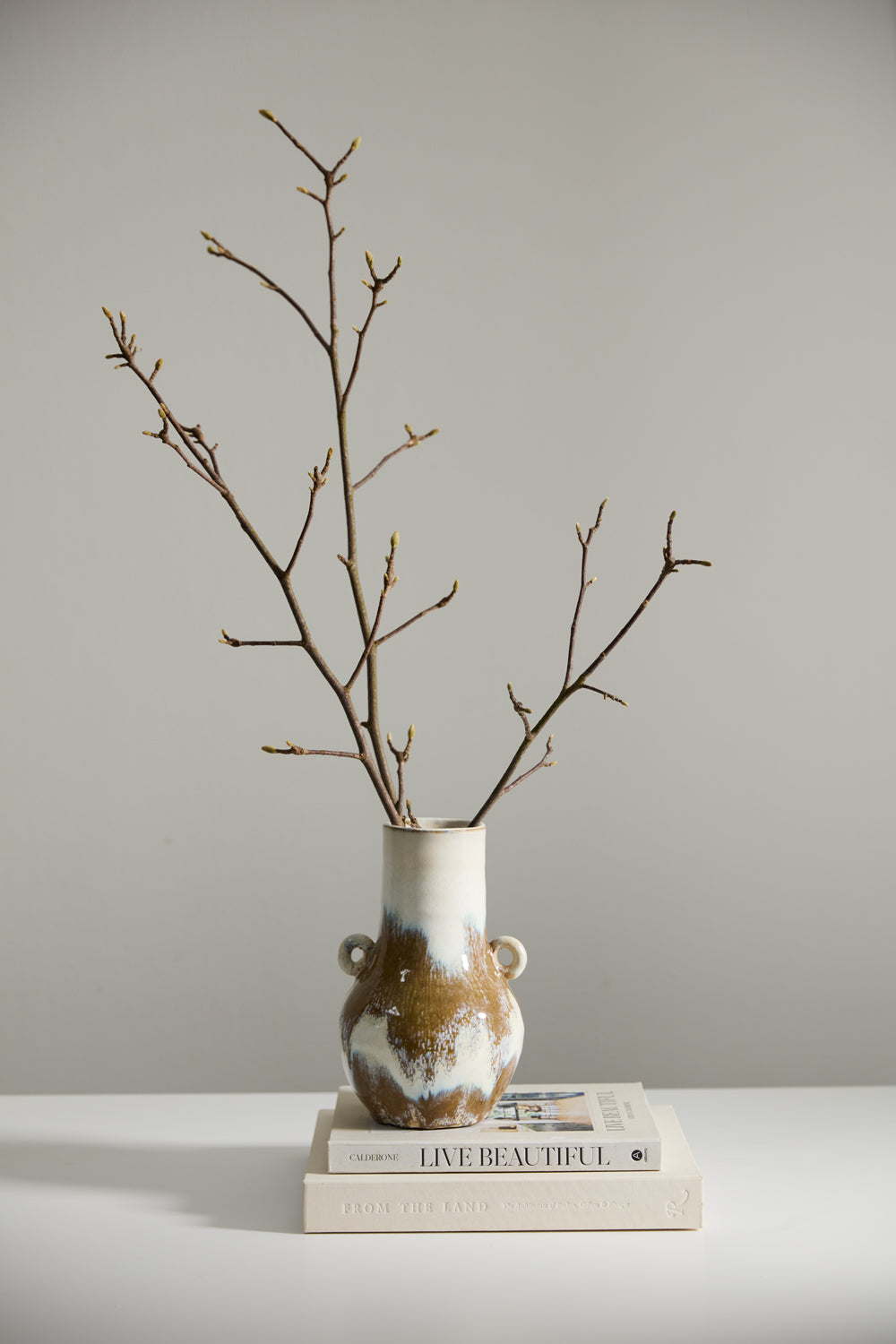 Ulysses Vase Set of 2 By Accent Decor | Vases | Modishstore - 3