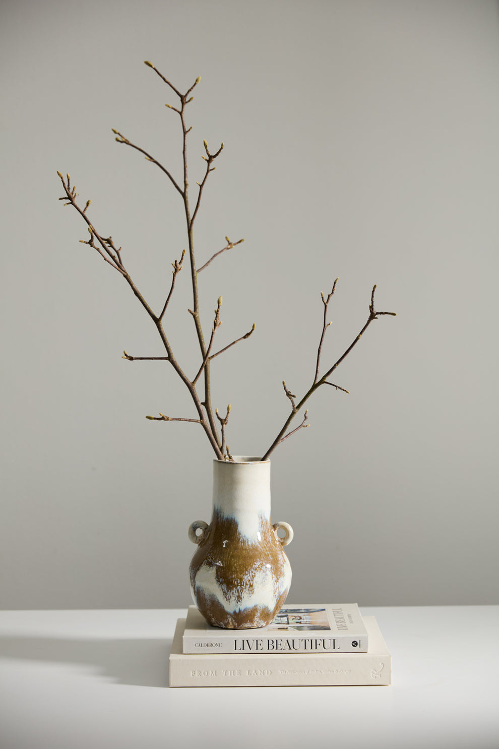 Ulysses Vase Set of 2 By Accent Decor | Vases | Modishstore - 3