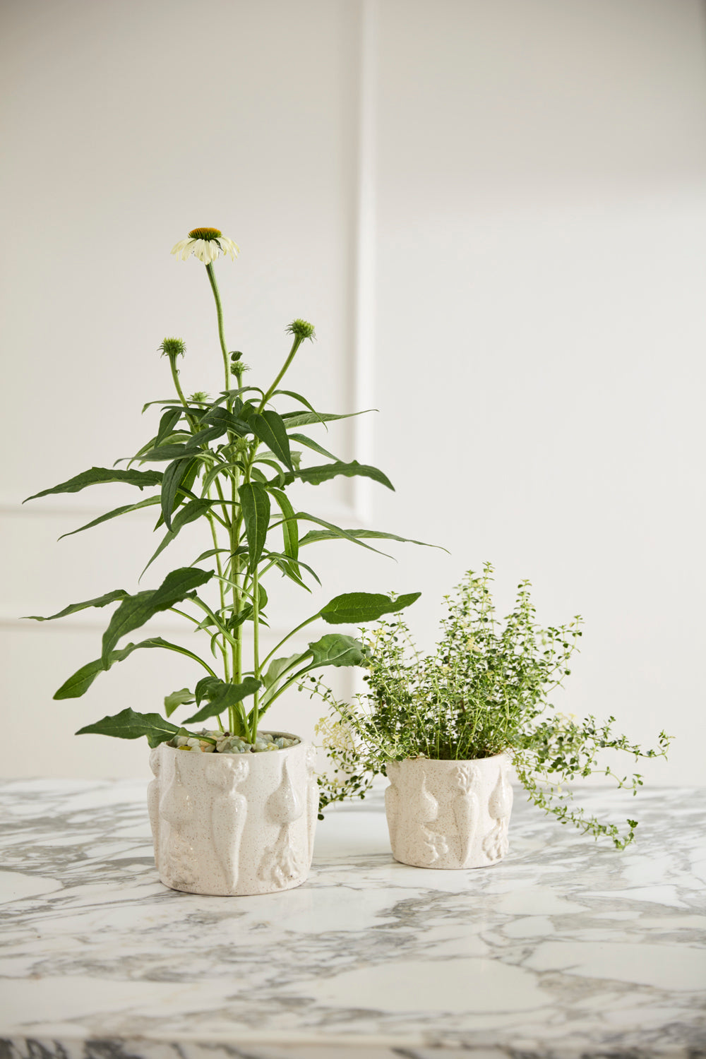Veggie Collection Set of 8 By Accent Decor | Stands | Modishstore - 5