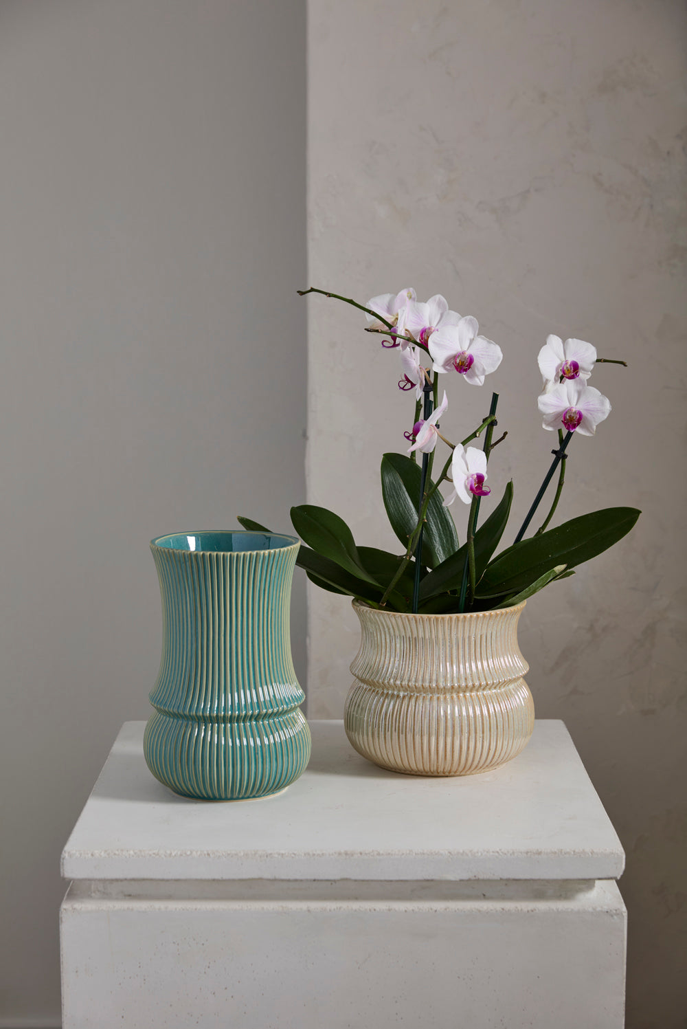 Verdant Collection Set of 2 By Accent Decor | Stands | Modishstore - 4