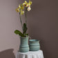 Verdant Collection Set of 2 By Accent Decor | Stands | Modishstore - 5