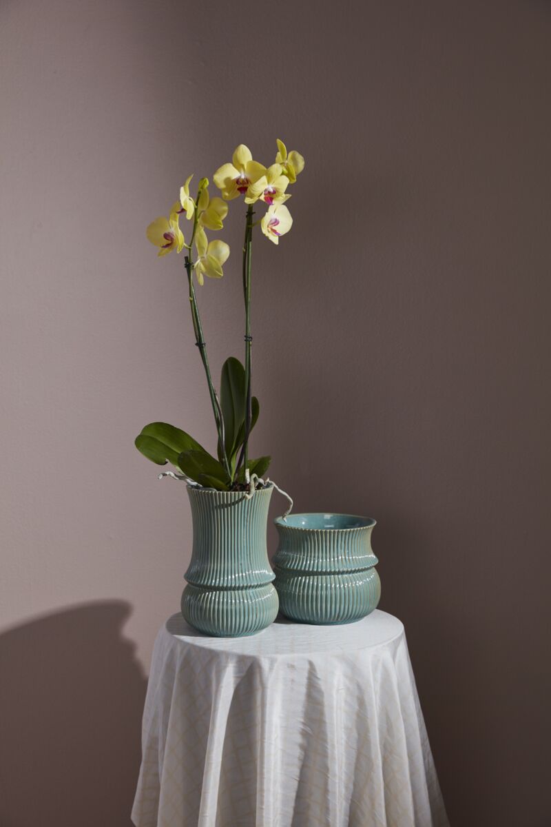 Verdant Collection Set of 2 By Accent Decor | Stands | Modishstore - 5