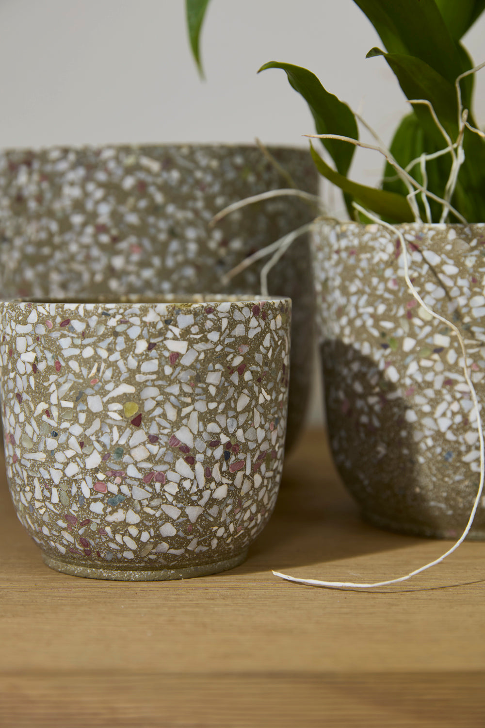 Verde Pot Set of 4 By Accent Decor | Planters, Troughs & Cachepots | Modishstore - 1