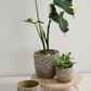 Verde Pot Set of 4 By Accent Decor | Planters, Troughs & Cachepots | Modishstore - 3