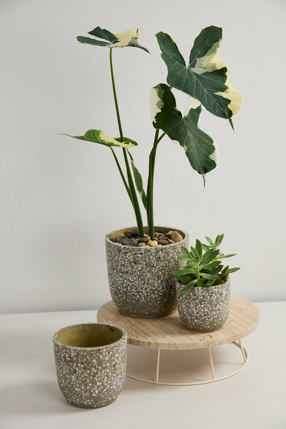 Verde Pot Set of 4 By Accent Decor | Planters, Troughs & Cachepots | Modishstore - 3