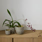 Verde Pot Set of 4 By Accent Decor | Planters, Troughs & Cachepots | Modishstore - 4