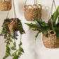 Verse Hanging Basket Set of 4 By Accent Decor | Planters, Troughs & Cachepots | Modishstore - 3