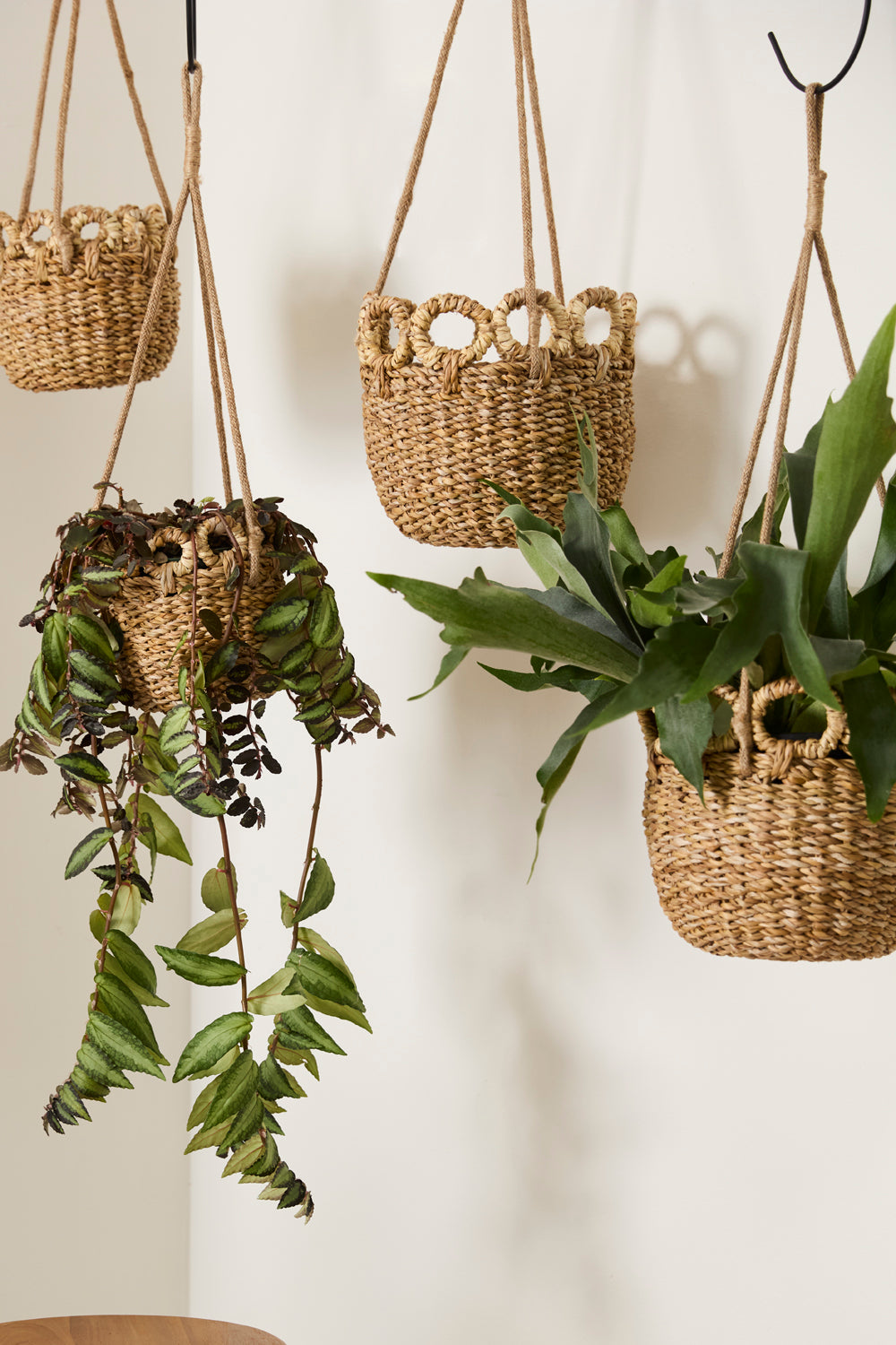 Verse Hanging Basket Set of 4 By Accent Decor | Planters, Troughs & Cachepots | Modishstore - 3