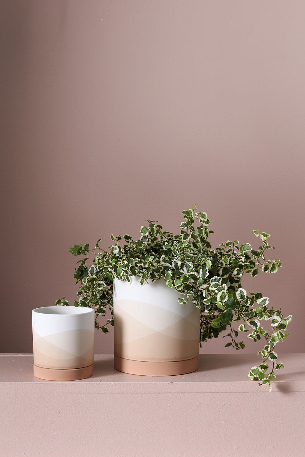 Vesper Collection Set of 8 By Accent Decor | Planters, Troughs & Cachepots | Modishstore - 1