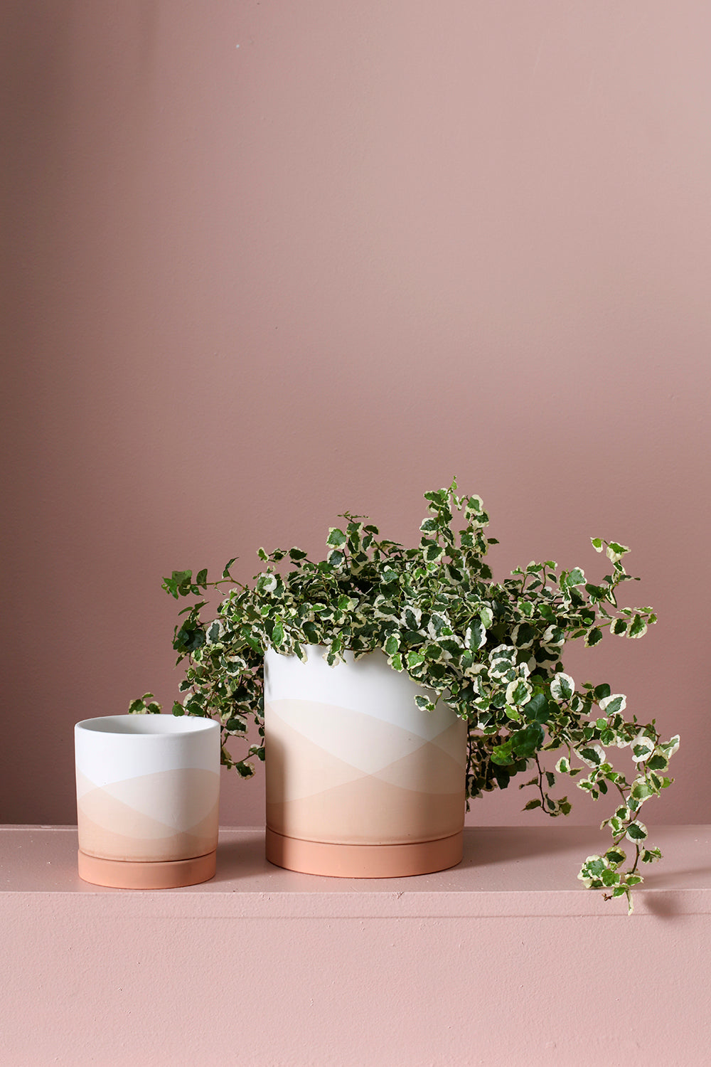 Vesper Collection Set of 8 By Accent Decor | Planters, Troughs & Cachepots | Modishstore - 3