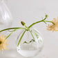 Viola Budvase Set of 8 By Accent Decor | Vases | Modishstore - 1