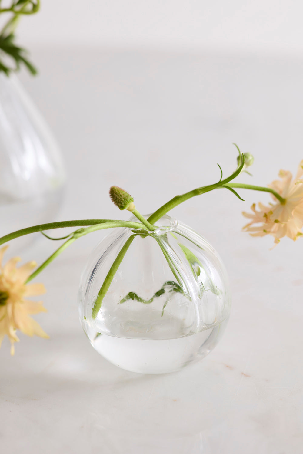 Viola Budvase Set of 8 By Accent Decor | Vases | Modishstore - 1