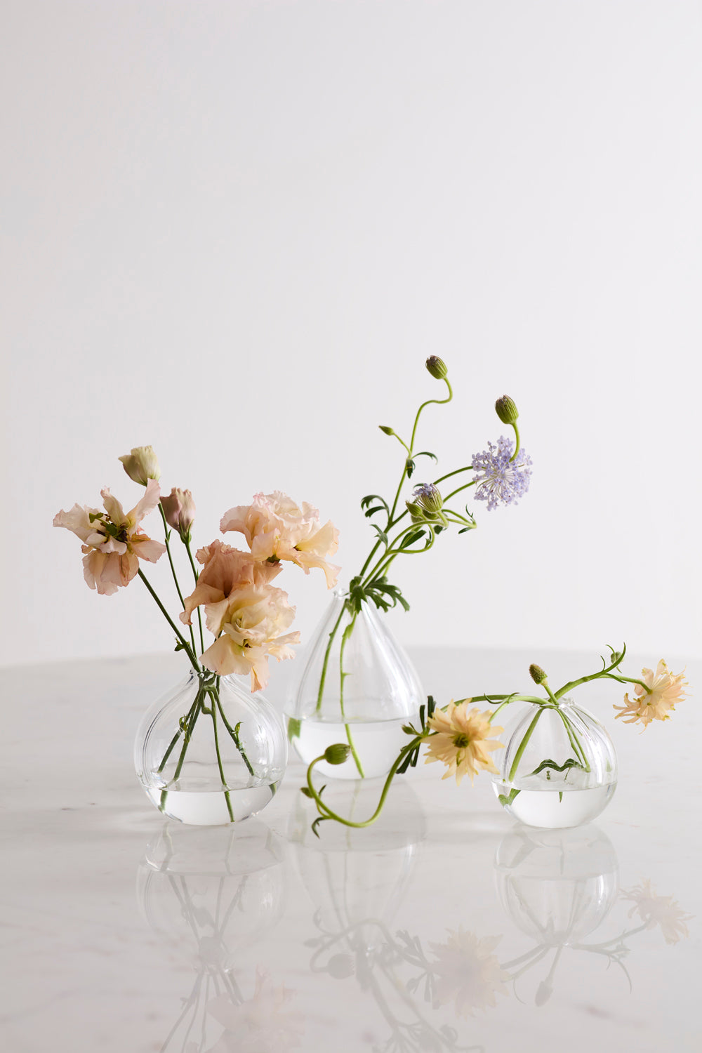 Viola Budvase Set of 8 By Accent Decor | Vases | Modishstore - 3
