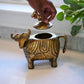 Water Buffalo Sculpture Set of 2 By Accent Decor | Sculptures | Modishstore - 3