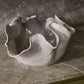 Waterfront Bowl By Accent Decor | Decorative Bowls | Modishstore - 8