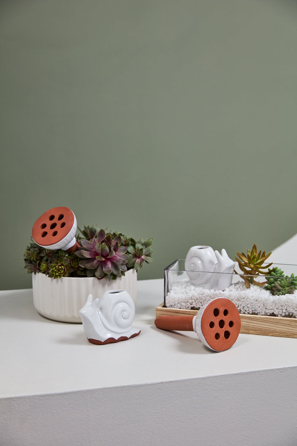 Whimsy Watering Collection Set of 4 By Accent Decor | Stands | Modishstore - 3