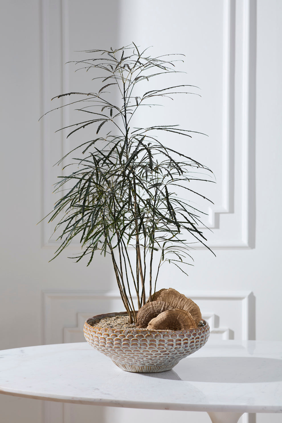 White Oak Bowl By Accent Decor | Decorative Bowls | Modishstore - 3