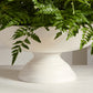 White Oscar Bowl Set of 2 By Accent Decor | Decorative Bowls | Modishstore - 5