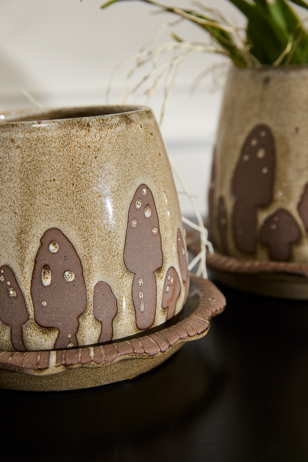 Wild Mushroom Pot with Saucer Set of 2 By Accent Decor | Planters, Troughs & Cachepots | Modishstore - 2