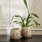 Wild Mushroom Pot with Saucer Set of 2 By Accent Decor | Planters, Troughs & Cachepots | Modishstore - 3